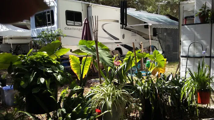 Mosssy Oaks Mobile Home RV Park 2