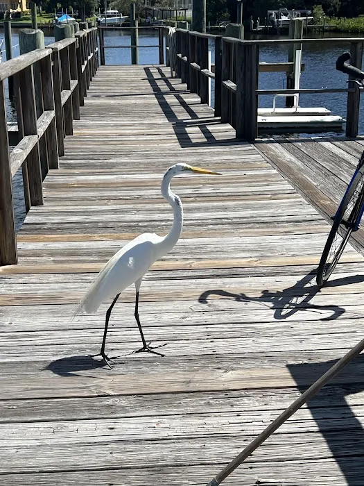 Bayshore Park Inc 1