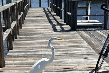 Bayshore Park Inc