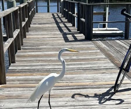 Bayshore Park Inc
