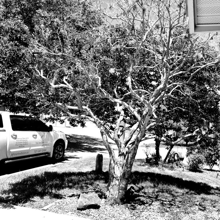 Stonehedge Residents Inc 8