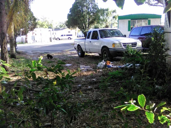 Halliday Village Mobile Home 4