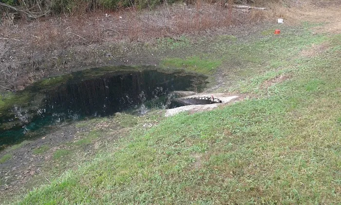 Tiger Branch Camp 3