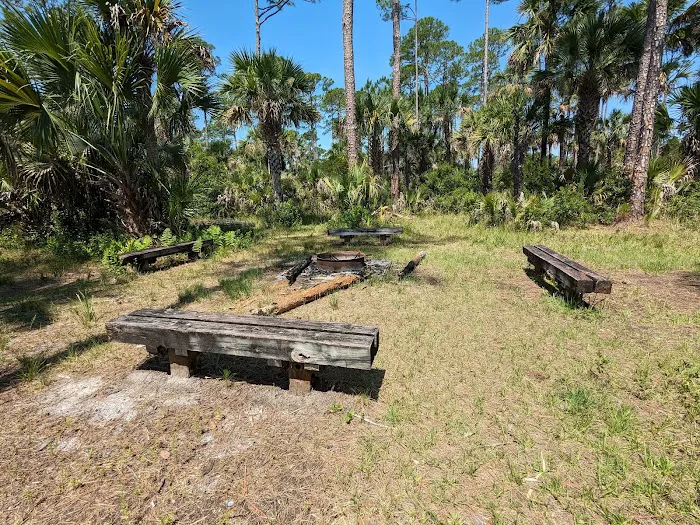 Tiger Branch Camp 12