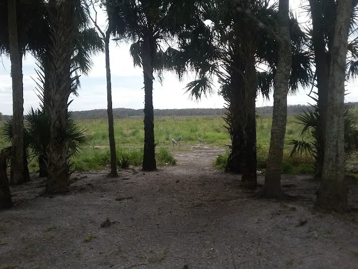 Lake Cone Campground 6