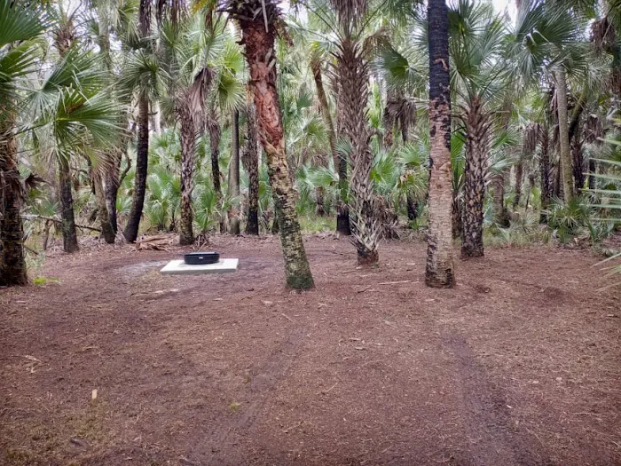 Turkey Roost Campsite 1