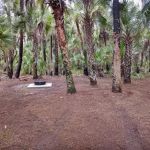 Turkey Roost Campsite