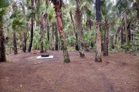 Turkey Roost Campsite