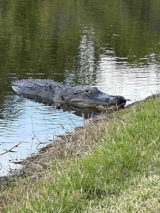 The Great Outdoors Nature, RV & Golf Resort 4