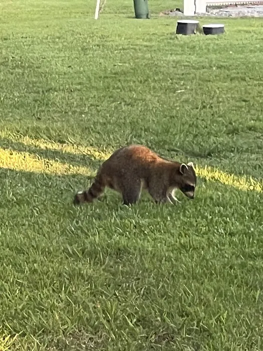 The Great Outdoors Nature, RV & Golf Resort 5