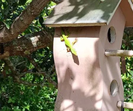 Great Outdoors Premier RV