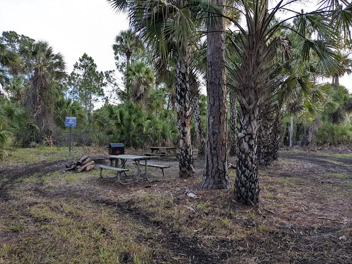 Buck Lake Group Campsite 1