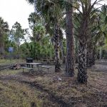 Buck Lake Group Campsite