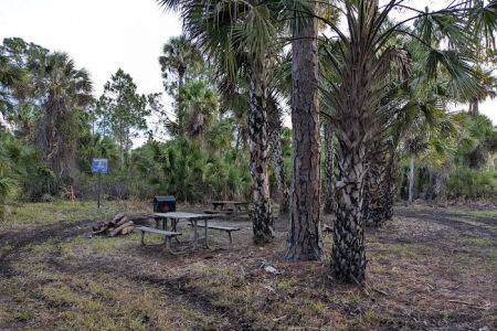Buck Lake Group Campsite