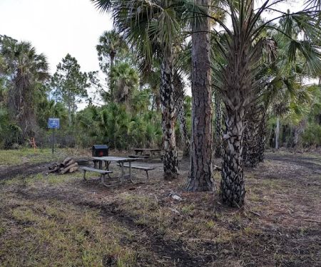 Buck Lake Group Campsite