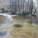 Tumbling Creek Campground