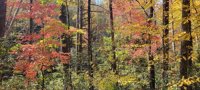 Tumbling Creek Campground 4