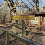 Cottonwood Patch Campground (Horse Camp)