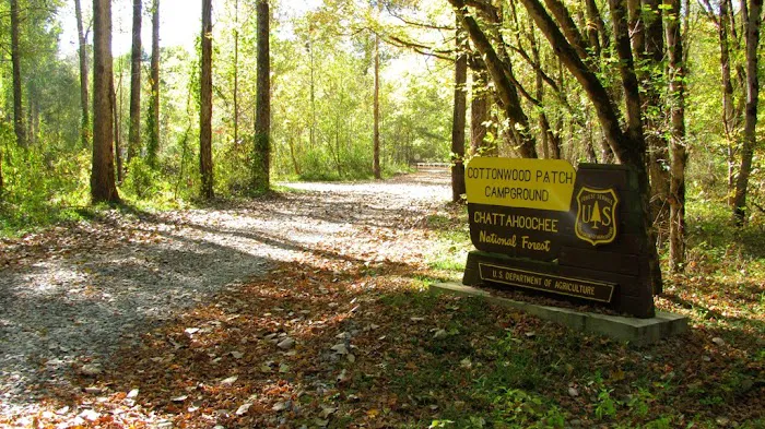 Cottonwood Patch Campground (Horse Camp) 5