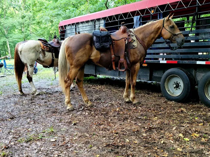Cottonwood Patch Campground (Horse Camp) 9