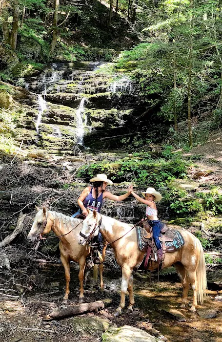 Cottonwood Patch Campground (Horse Camp) 10