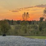 Black Bear Plantation, LLC (Campsites)