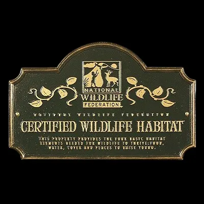 Black Bear Plantation, LLC (Campsites) 2