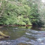 Secret River Campground
