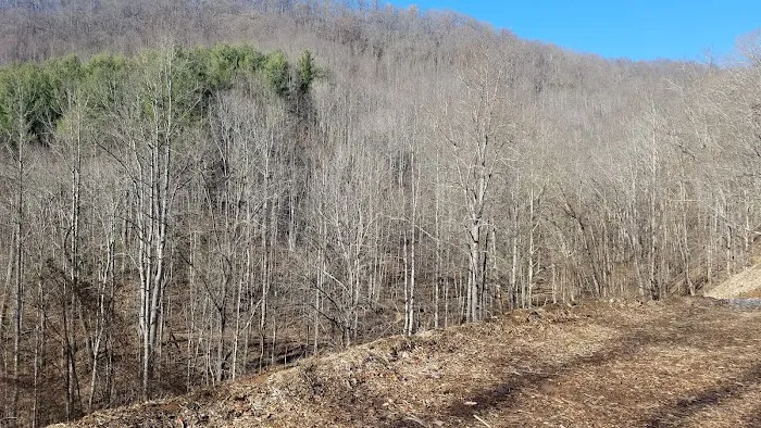 Secret River Campground 22