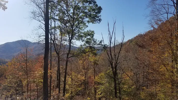 Secret River Campground 23