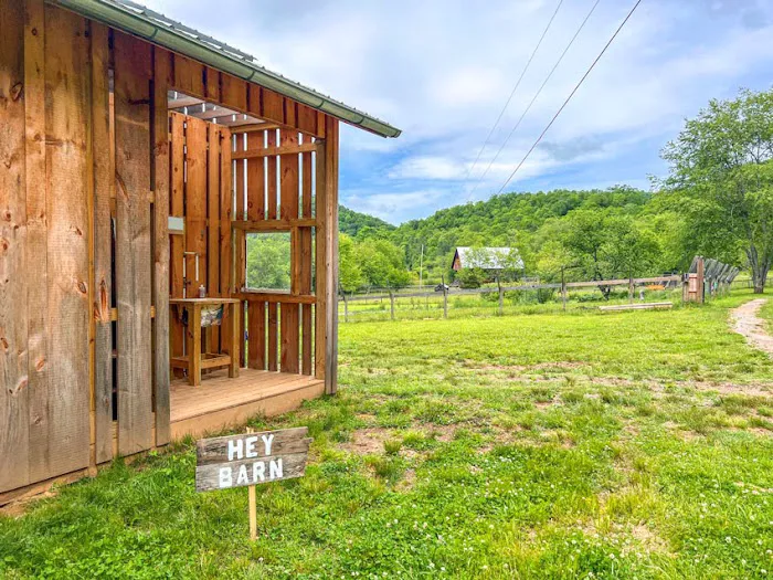 Deer Springs RV Resort 2