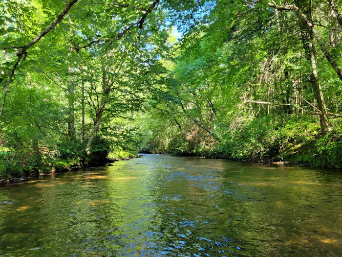 Deer Springs RV Resort 4