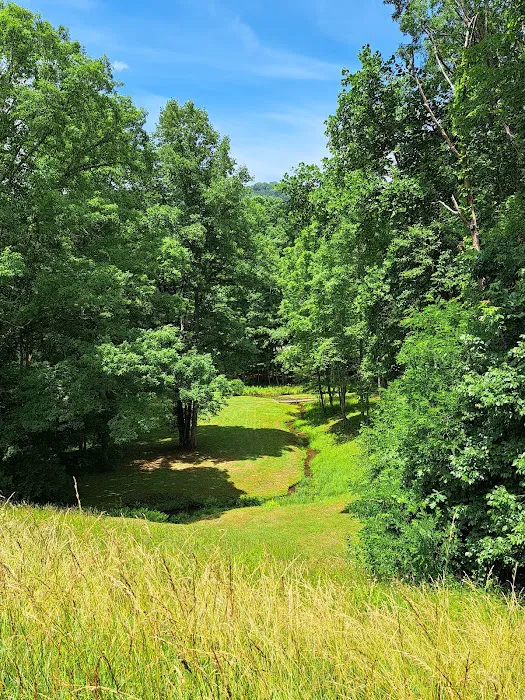 Pounding Mill Creek Estates 7