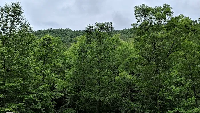 Pounding Mill Creek Estates 9