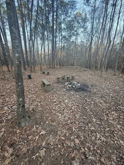 Forestry Department 1