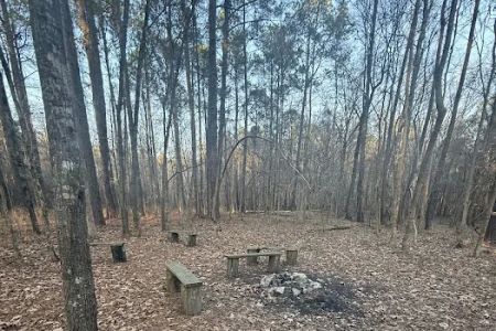 Forestry Department
