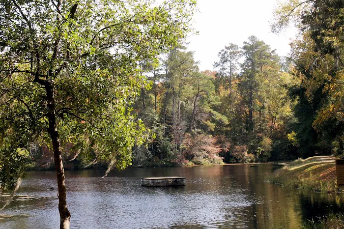 Poinsett Park Campground 4