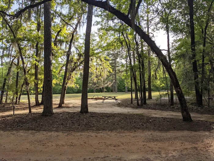 Poinsett Park Campground 5