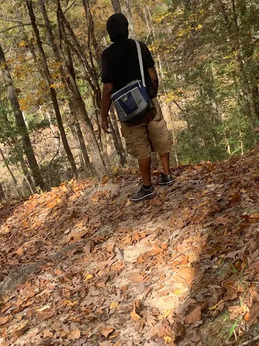 Poinsett Park Campground 6