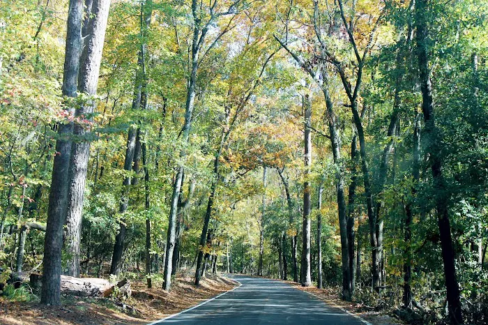 Poinsett Park Campground 7