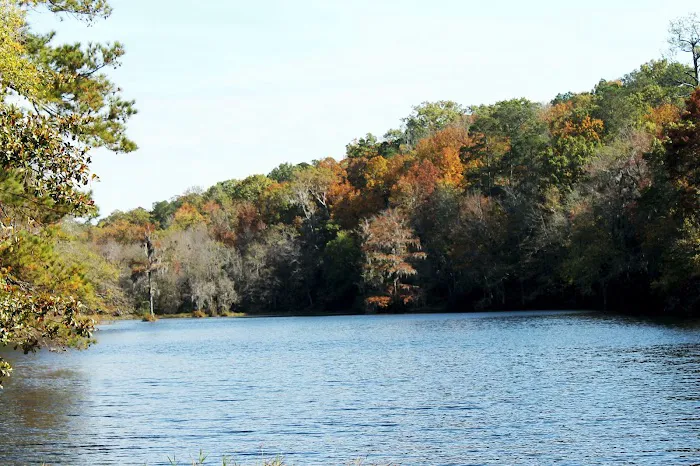 Poinsett Park Campground 10
