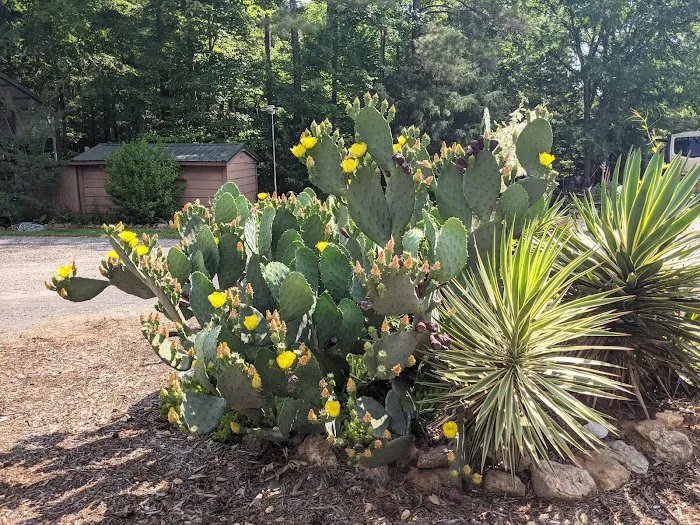 Double Triangle Ranch Campground 5