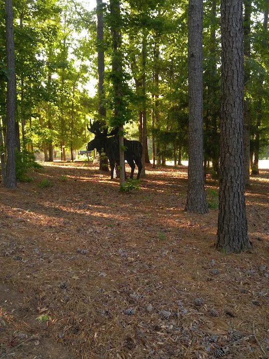 Double Triangle Ranch Campground 9
