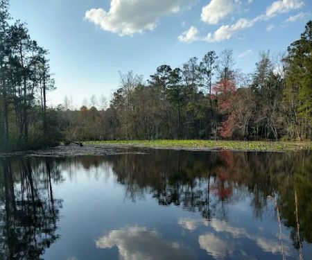 Shady Acres Mobile Home Park