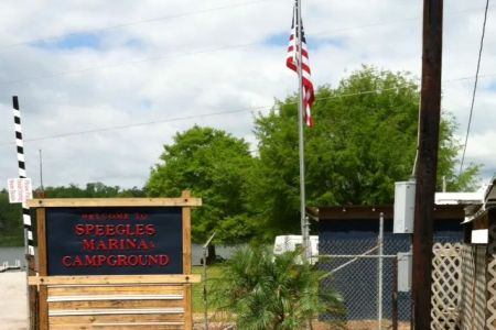 Camp 222