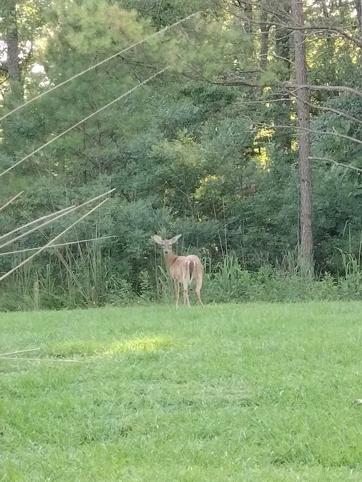 Corinth Recreation Area 8