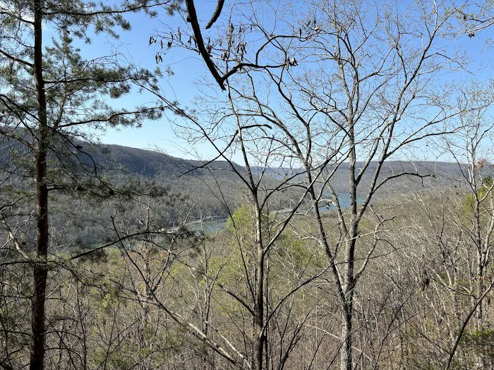 Davis Pond 8