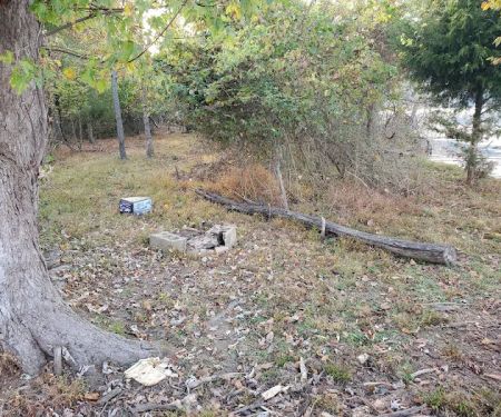 Oates Island Campsite