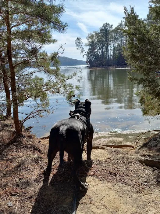 Harrison Bay State Park Campground Loop C 14