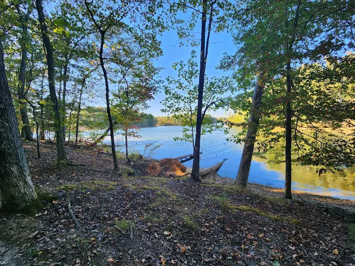 8411 Harrison Bay Rd 3